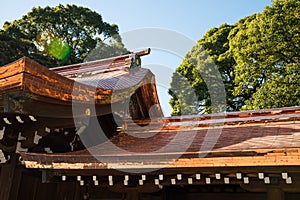 Detail architecture of Meiji-jingu shrine in Harajuku, Tokyo