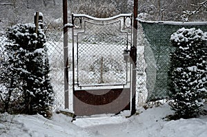 Detail of an Art Nouveau gate with an oval decorative element of a rusty metal garden gate connected to a fence. The yew hedge is