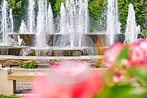 Detail of artesian fountain in a Bucharest city park Alexandru Ioan Cuza park/IOR with coral/pink roses in foreground.