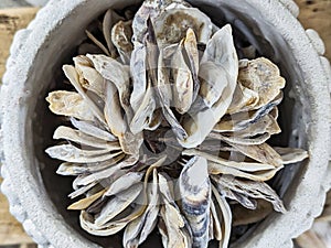 Detail of Artificial Flower Made From Sea Shells