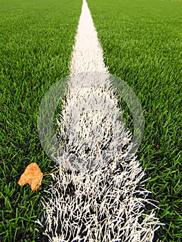 Detail of artificial grass field on football playground. Detail of a line in a soccer field, yellow birch leaf. Plastic gras