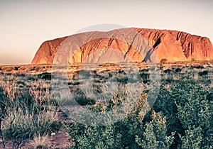 Detail of Australian Outback