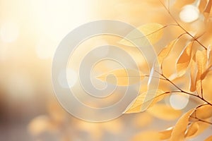 Detail of autumnal colorful leaves on blurred sunny background