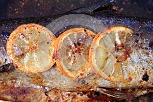 Detail of baked salmon fish
