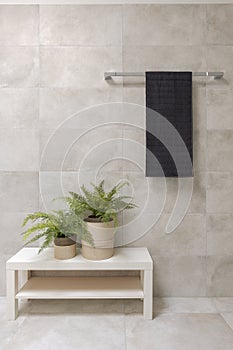 Detail of a bathroom interior. A hanging towel and two small plants underneath