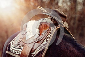 Detail of beautiful horse saddl with natural textures and a hat.