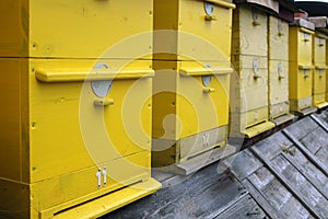 Detail Bee hives in yellow