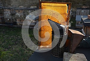 detail of beekeeper smoker to calm bees in beehive metal smoke early morning frame with honeycomb sun