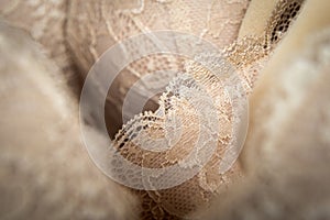 Detail of beige, stylish bra