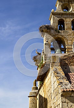 Detail of the bell gable of the church of San Salvador in Villamartin de Campos from the 18th century with nesting storks. Spain.