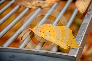 Detail of bench with leaves photo