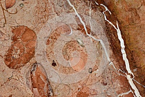 Detail of the betas of a marble floor photo
