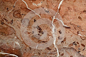 Detail of the betas of a marble floor photo