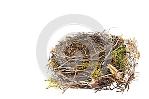 Detail of blackbird nest isolated