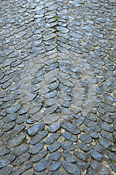 Detail of the block stone pathway