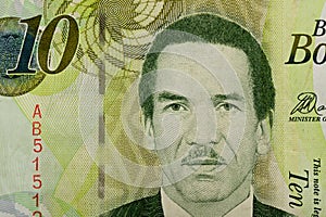 Detail of 10 Botswana Pula banknote