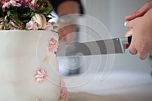 Detail of bride and groom cutting wedding cake after getting married