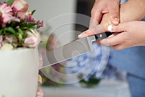 Detail of bride and groom cutting wedding cake after getting married