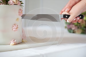 Detail of bride and groom cutting wedding cake after getting married