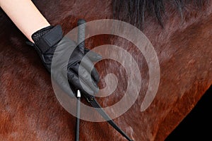 Detail of brown horse with riders hand in black gloves gently laid on its neck, holding reins