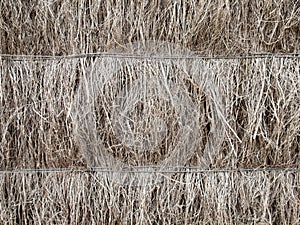 Detail of brushwood fence