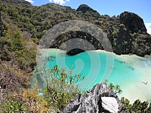 Detail of Cadlao lagoon. Bacuit archipelago. El Nido. Palawan. Philippines