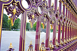 Detail of a cast iron gate in Wien