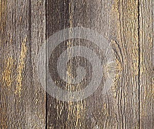 Detail of cedar fence