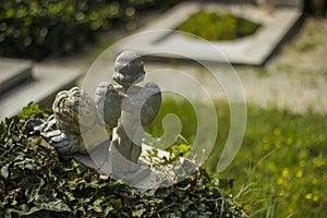 Detail of cemetery in VaraÅ¾din, Croatia, All Saints` Day.
