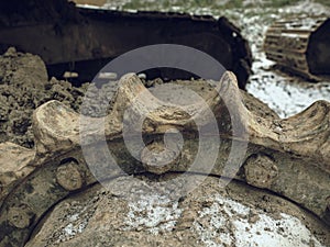 Detail of chain gear of  tracked vehicle. Crawler tracks hydraulics on a tractor