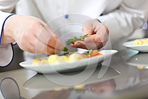 Detail of a Chef at work