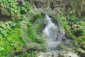 Detail of Chifon waterfall in Chiaapas Mexico photo