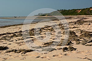 Detail of Chigamane beach with low tide. Vilanculos. Inhambane province. Mozambique