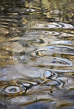 Detail of circular shapes on the autumn water surface