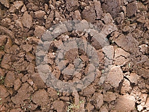 Detail of clayey soil excavated in preparation for sowing vegetables