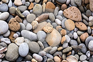 A detail close up macro photograph of smooth, rounded and colourful pebbles and seashells photo