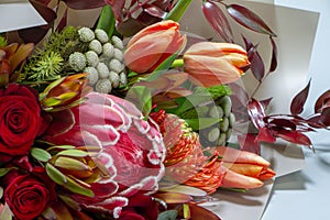 Detail closeup magnificent bouquet of tulip, leucospermum, leucadendron, protea, rose on a gray background, selective focus
