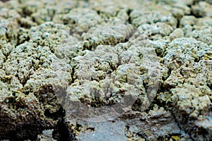 Detail closeup of sulphur rocks on top of sibayak volcano crater in sumatra indonesia