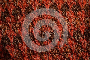 Detail of a cloth of a Wool