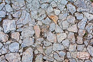 Detail of cobblestone path