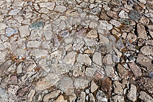 Detail of cobblestone path