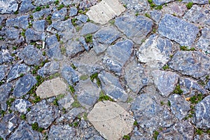 Detail of cobblestone path