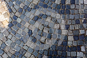 Detail of cobblestone path