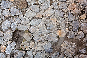 Detail of cobblestone path