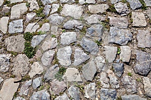 Detail of cobblestone path