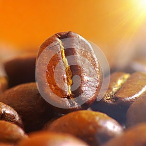 A detail of coffe grains with warm background