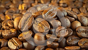 A detail of coffe grains with warm background