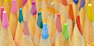 Detail of colored pencil tips photo