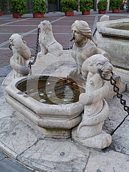 A detail of the Contarini fountain in Bergamo