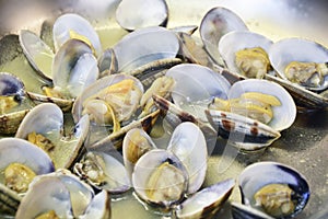 Detail cooking of Clams in a pan